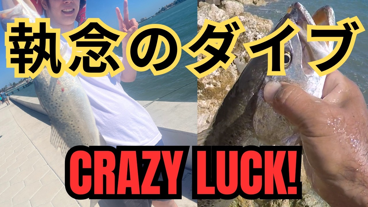 【前編】初心者がフロリダで怪魚を釣り上げた！？血まみれのランディング劇｜Fishing in Florida: Beginner catches a Monster Sheepshead!