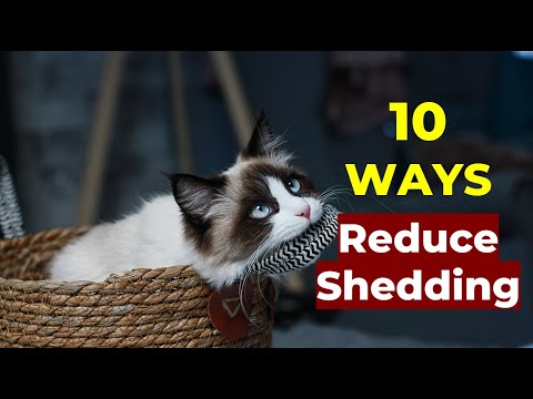 10 Ways to