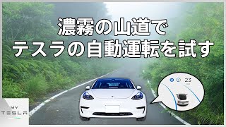 【検証】濃霧の中でもテスラのオートパイロットは動くのか！？
