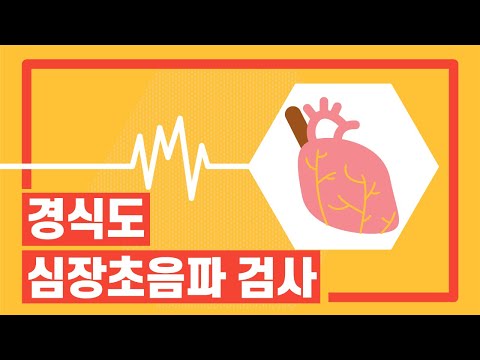 [서울성모병원] 경식도 심장초음파 검사