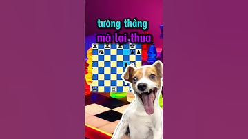 lại gặp chuyên gia lật kèo và cái kết, cờ vua hài hước #chess #covua #covualogic