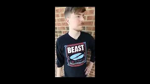 Mr Beast Step 10 Riddle