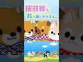 桜前線を北へ追いかけると... #アニメ #豆しば三兄弟 #桜
