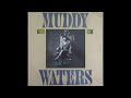Muddy Waters Mean Old Frisco Blues mp3