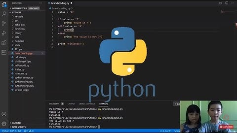 How to Code PYTHON: if... elif... else Statement - Branch Code Execution in Python