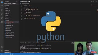 How to Code PYTHON: if... elif... else Statement - Branch Code Execution in Python