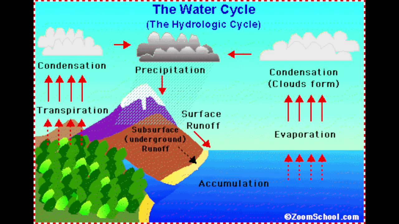 The Water Cycle Explained Youtube