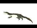 Kaprosuchus test