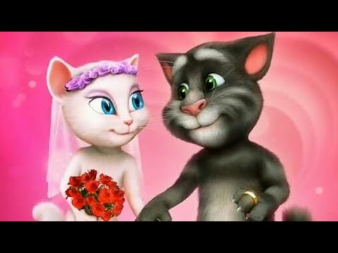 Talking Tom LOVE propose in Kannada