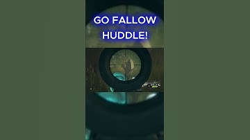 FULL GREAT ONE FALLOW DEER HUDDLE! FULL VIDEOS OF ALL THE HUNTS ON MY CHANNEL! #cotw #greatone