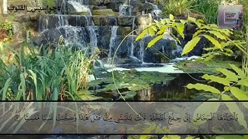 ترتيل مبارك من سورة مريم بصوت العبد الفقير