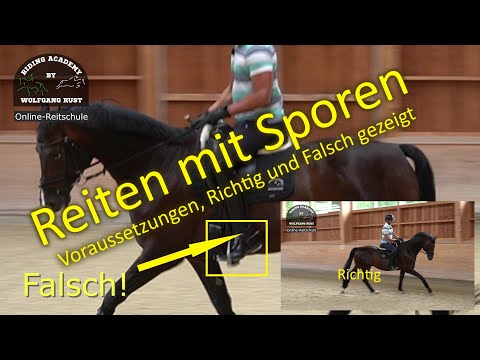 F 75 Reiten mit Sporen- darauf müssen Reiter achten! Richtiges und falsches Reiten am Pferd gezeigt.