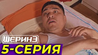 картинка: ШЕРИНЕ 5-серия