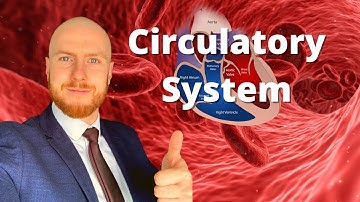 The Circulatory System AQA GCSE Science/ Biology