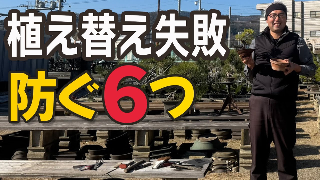 盆栽の植え替え｜初心者が失敗しないための6つのポイント