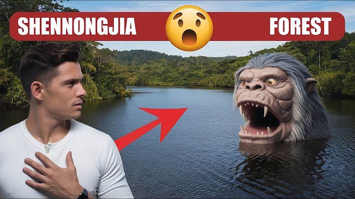Exploring the Mysteries of the Shennongjia Primeval Forest