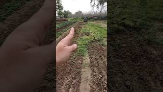 Row 1, Row 2, Why not farmlife homestead ronnyandbrettany homesteadvlog californiahomestead