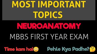 Neuroanatomy | Important Topics