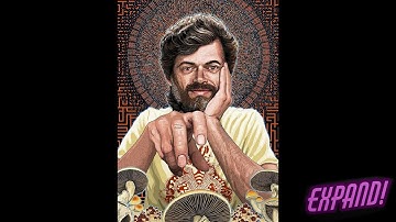 Terence McKenna Intuition No Music