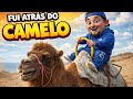 FUI NAS DUNAS DE TOTTORI ATRÁS DE UM CAMELO!