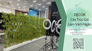 Thi Công Vách Ngăn Bằng Hàng Rào Cây Trúc Quân Tử Giả