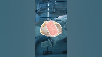 How Do Astronauts Shower in Space?