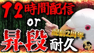 【雀魂  耐久段位戦】12時間配信するか昇段するまで終わりません 配信始めてちょうど2年【三麻】#雀魂 #麻雀 #shorts