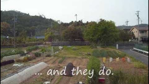 Japanese Neighborhood Warning System