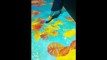 interactive floor projection