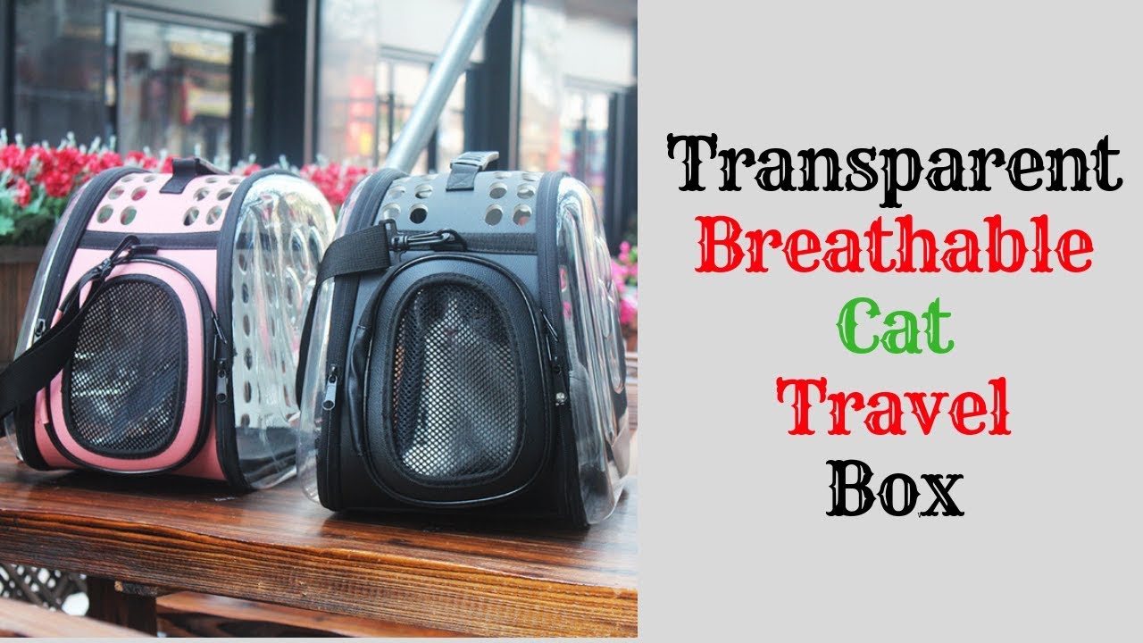 products of glycolysis Transparent Breathable Cat Travel Box 2019