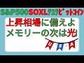 次の爆益期待テーマ株は"光"‼️【sp500,soxl,テスラ,ビットコイン】