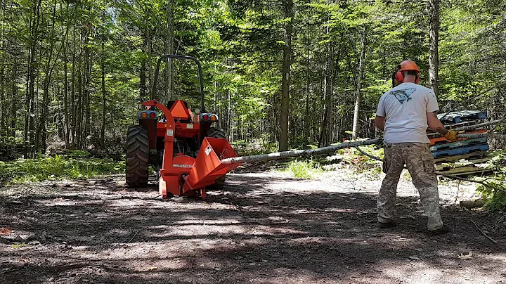 Let's chip some wood! Wallenstein BX-42 Wood Chipp...