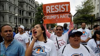 Two Dozen Arrested at White House Immigration Protest as Trump Mulls Arpaio Pardon