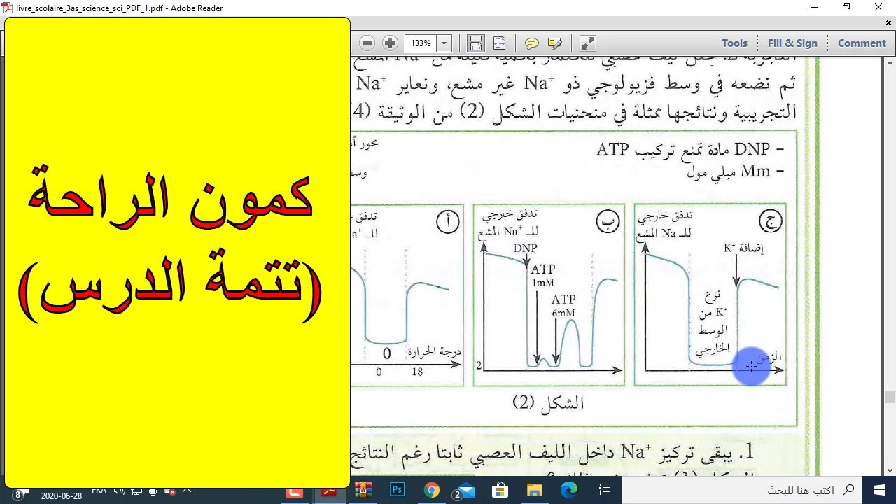 كمون الراحة (تتمة الدرس)
