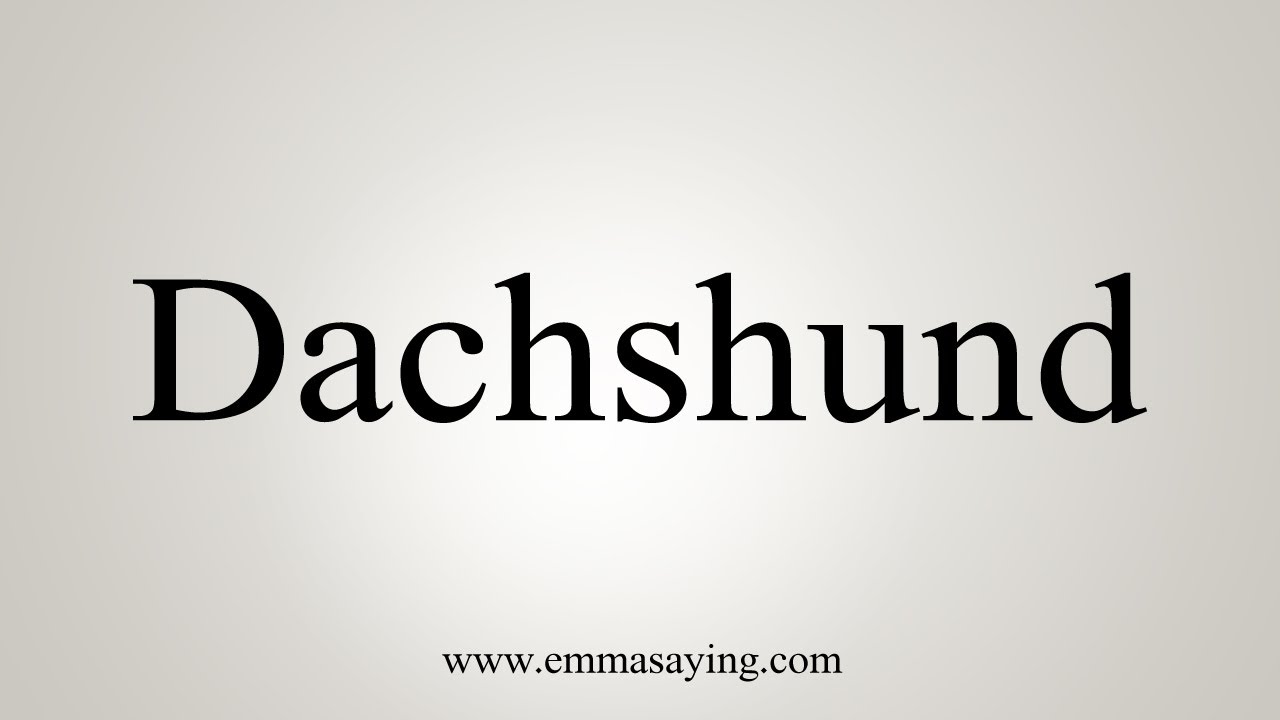 How To Say Dachshund - YouTube