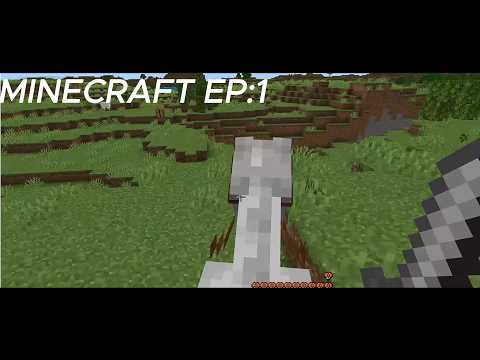 MINECRAFT EP:1