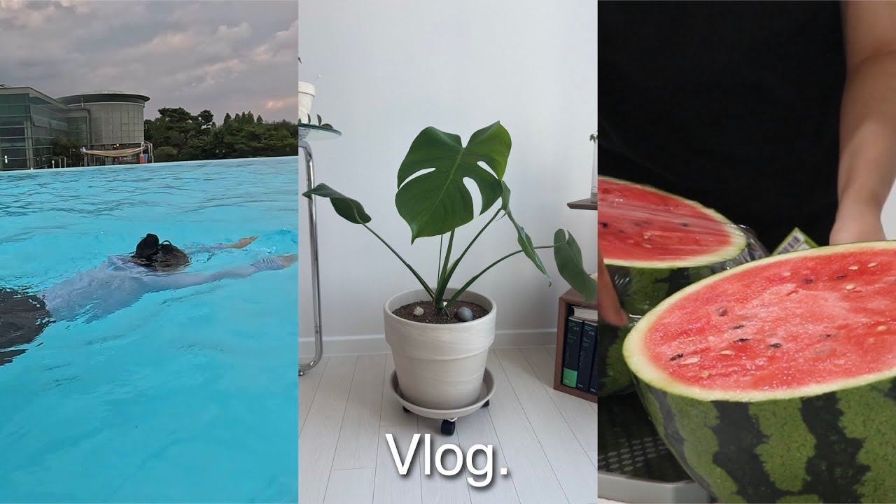 일상 브이로그 | 초보 수영인 | 여름이라 다이어트 찍먹 레시피 | 초보 식집사의 분갈이 | 집밥 | 열무국수, 닭안심 파스타