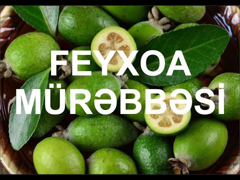 ƏN ASAN YOLLA SOYUQ FEYXOA MÜRƏBBƏSİNİN  HAZIRLANMASI/feyxoa/feyxua/Bu mürəbbə deyil/FEYXOA MÜRƏBBƏ