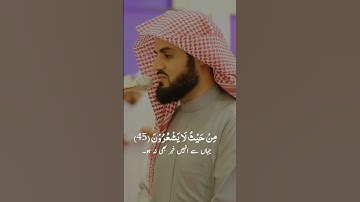 Raad Al kurdi Whatsapp status with Urdu translation|رعد الكردي حالات واتس اب|سورة النحل