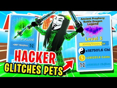 Hacker Joins Game And Duplicates Legendary Pets Glitch In Roblox Ninja Legends New Update Youtube