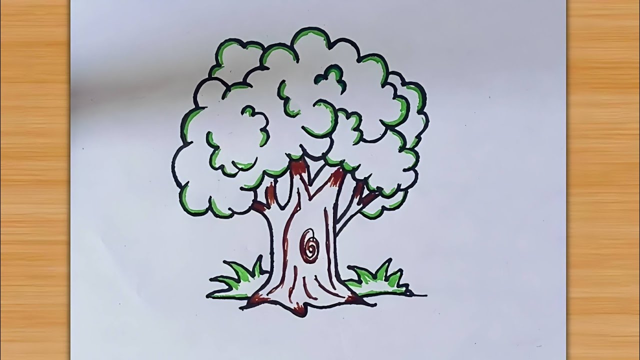 How to draw a Tree - Step by Step | Easy tree drawing for beginners ...