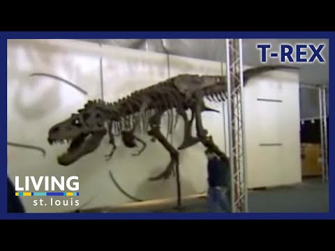 KETC | Living St. Louis | T-Rex