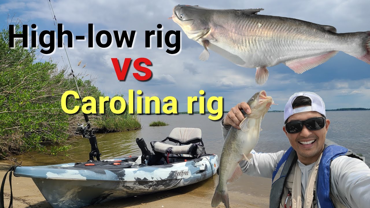 High low rig vs Carolina rig: FIRST MATCH-UP! 