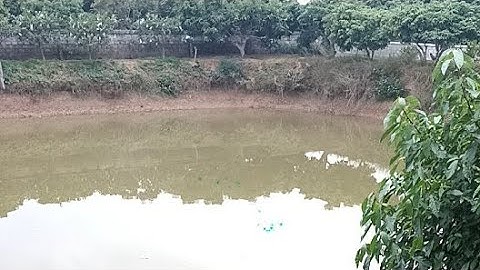 Cảnh làng quê tết ngoại của chú Lanh Lục Ngạn, Bắc Giang