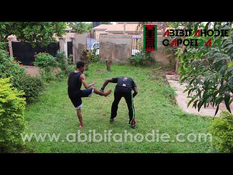 ⁣Abibifahodie Asako (Afrikan Combat Capoeira light sparring session + discussion)