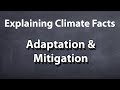 Explaining Climate Facts - 3/3 - Adaptation & Mitigation