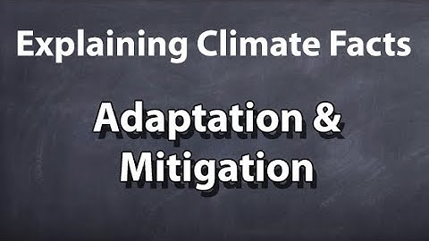Explaining Climate Facts - 3/3 - Adaptation & Mitigation