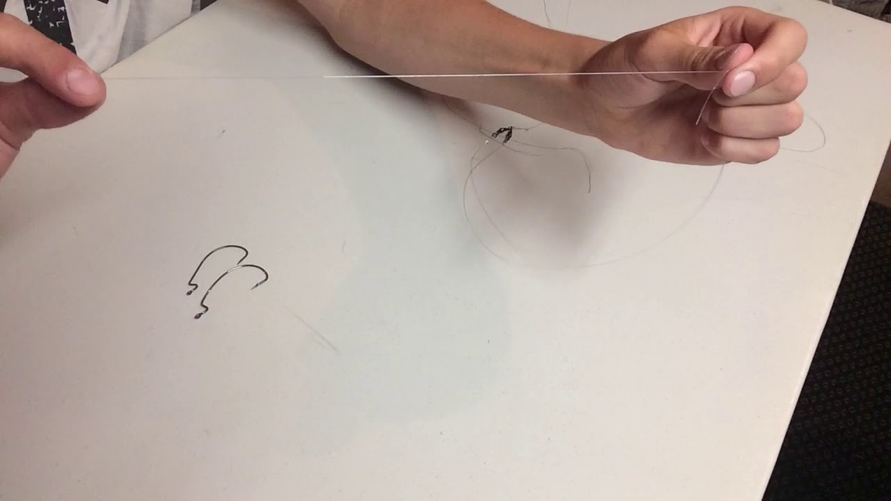 The Donkey Rig - YouTube