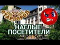 Наглые посетители Старгорода | Харьков