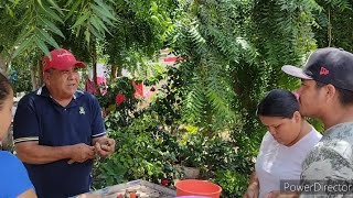 Patas,Ostiones y Camarones Con mi Primo en Bachomobampo 2@el_garcia_y_La_Chaparrita  #sinaloa #parati #video #fyp